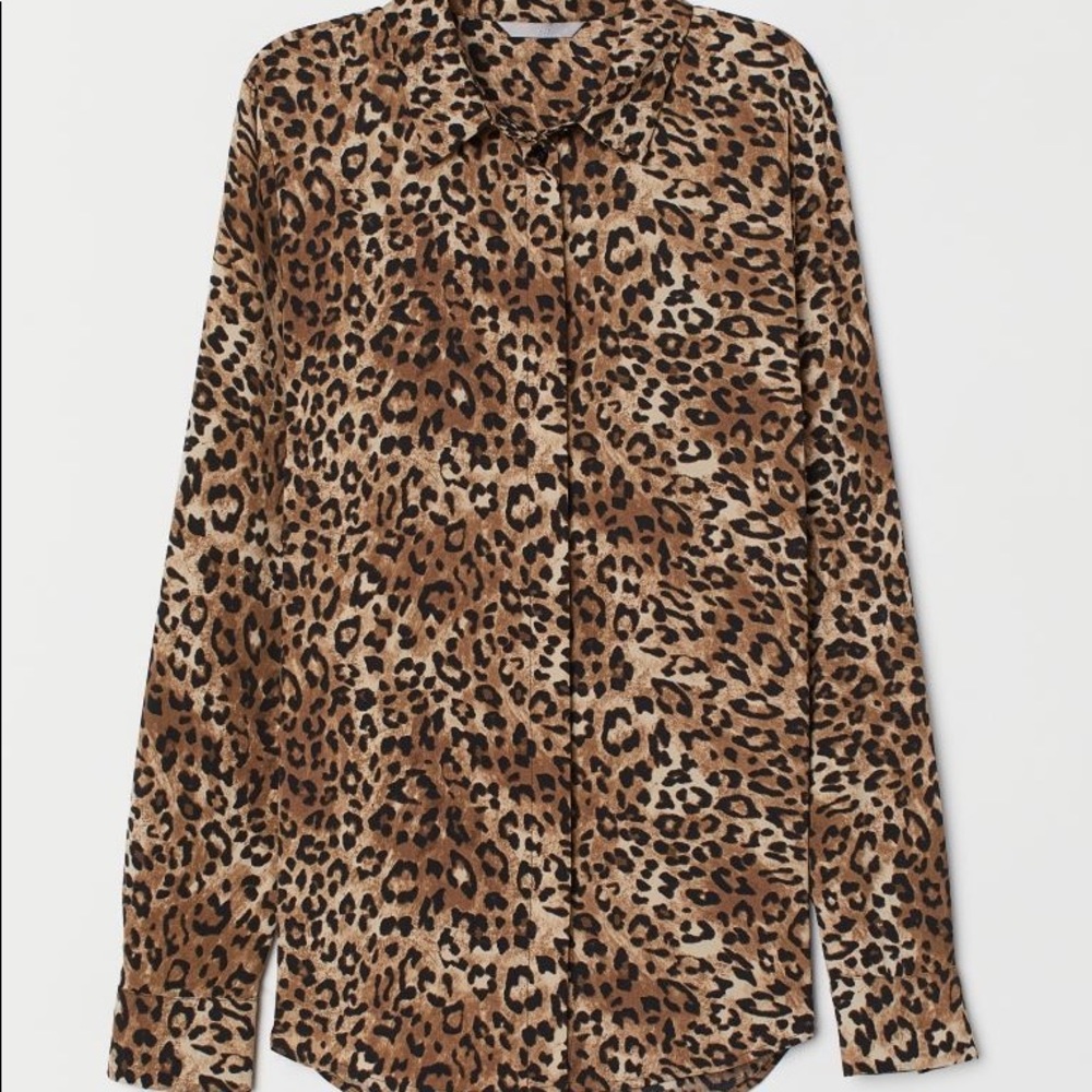 H&M Leopard Print Long-sleeved Blouse